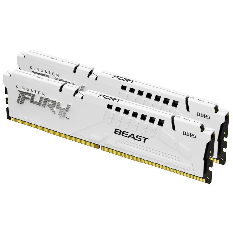 Kingston Technology FURY Beast 32 Go 6000 MT/s DDR5 CL36 DIMM (Kits de 2) White EXPO