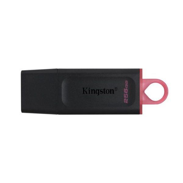 Kingston 256G USB 3.2 Gen 1