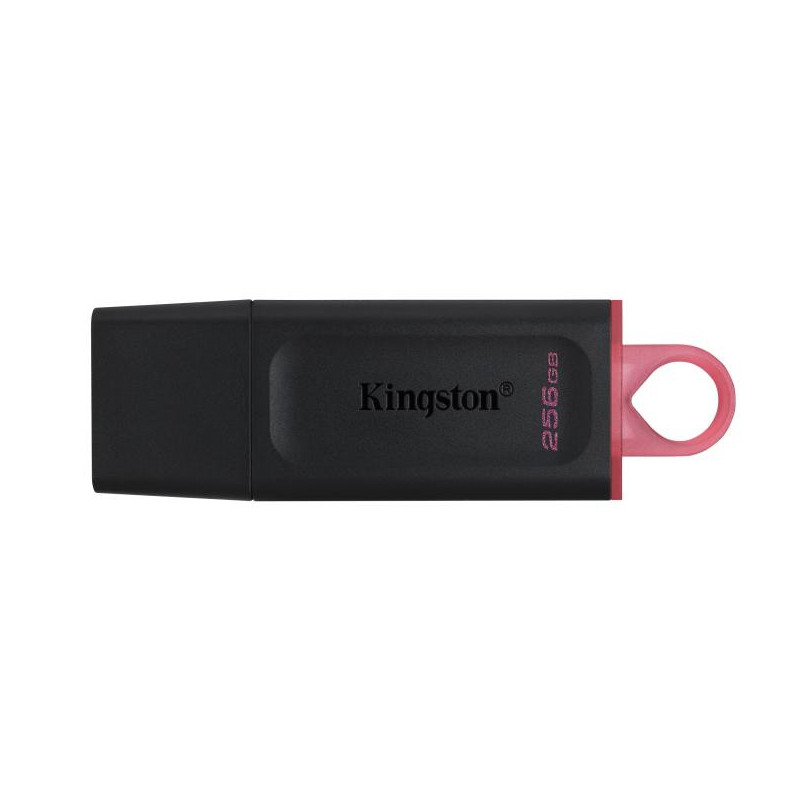 Kingston 256G USB 3.2 Gen 1