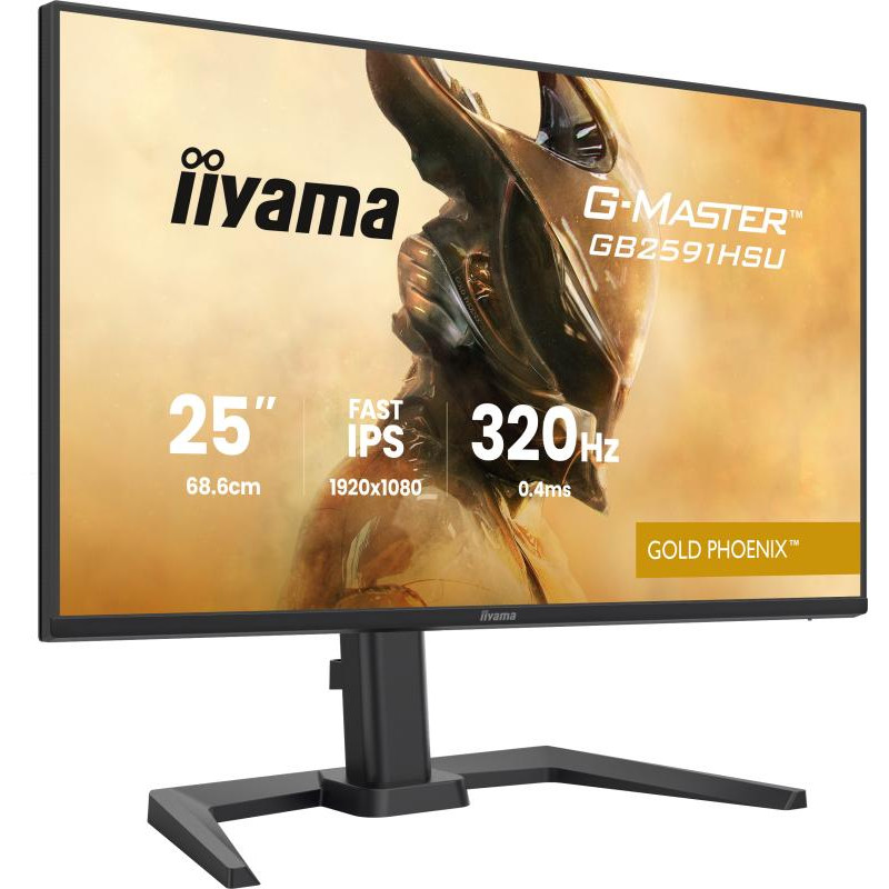 iiyama G-MASTER GB2591HSU-B1 · 24,5″, Full HD