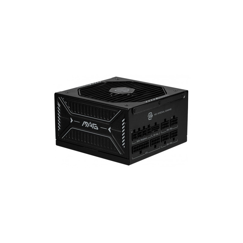 MSI MAG A1000GLS PCIE5